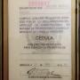 LICENCIA MEDICO CIRUJANO