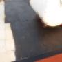 Subido por visitante en 18/05/2017