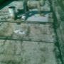 Subido por visitante en 18/05/2017