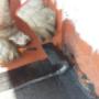 Subido por visitante en 18/05/2017