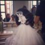 novia