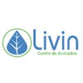 Livin Centro De Acabados