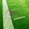Pasto-Canchas-deportivas