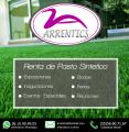 Renta de Pasto Sintético en México