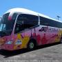 LOS MEJORES AUTOBUSES A TU DISPOSICIÓN