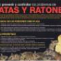 Ratas