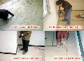 Tratamiento Termita Subterranea