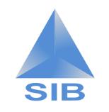 SISTEMAS INTEGRALES DE BOMBEO