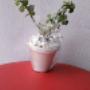 Detalles para eventos