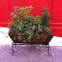 Jardines con hierbas para cocinar