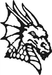 DRAGON NEGRO