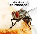 Servicio antitermita microencapsulado
