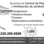 Subido por visitante en 21/01/2016 - CAMPAÑA: PREVISIÓN Y CONTROL DE PLAGAS, TELS. DE CONTACTO; 2292899589 - 2292362205, LLAME AHORA!! NO ESPERE UNA INFESTACIÓN!!