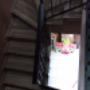Subido por visitante en 14/06/2016