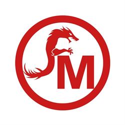FEIYANG MAQUINARIA SA DE CV.