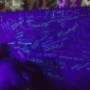 Fiesta Tema Neon Paint Party