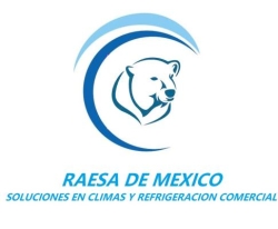 RAESA DE MEXICO