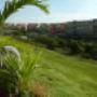 Jardinería