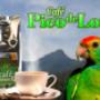 Café Pico de Loro. Banner