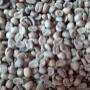 Café verde para Tostar, Calidad Cafés Lavados