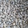 Café verde para Tostar, Calidad Prima Lavados