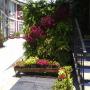 Jardin vertical