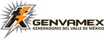 GENERADORES DEL VALLE DE MEXICO S.A DE C.V.