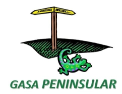 GASA PENINSULAR SA DE CV