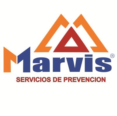 SEGURIDAD INDUSTRIAL MARVIS SA DE CV