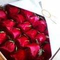 LOVE BOX