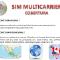 M2M-SIM-MULTICARRIER