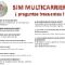 M2M-SIM-MULTICARRIER