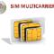 M2M-SIM-MULTICARRIER