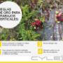 Subido por visitante en 16/02/2016 - IMPORTANTE