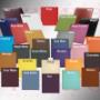 Colores disponibles curpiel 1 tono esc 2023