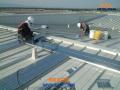 Paso de gato Andador metalico Mexicali