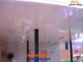 Plafon arquitectonico (ceiling panel) Mexicali