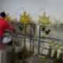 Proceso de producción de tintas en Guangzhou