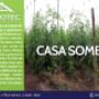 Casa Sombra