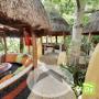 Datalogyx Google Business View Elefanta