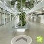 Datalogyx Google Business View Instituto Cesare