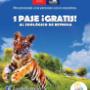 Flayer para McDonald's