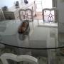 CUBIERTA DE CRISTAL