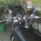 Tuneo