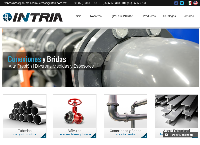 Sitio web de INTRIA