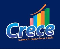 Asesor de negocios online