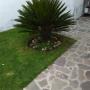 jardineria en LOMAS DEL SUR
