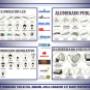 CATALOGO
