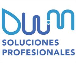DWM Soluciones Profesionales
