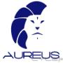 Subido por visitante en 21/10/2015 - Aureus Soluciones México